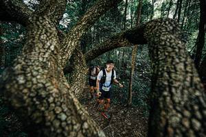 BIB: 
                            <button type="button" onclick="openModal(25392739)" class="btn btn-primary btn-sm float-right btn-popup" data-toggle="modal" data-target=".modal-high-quality">
                        <i class="fas fa-shopping-cart"></i> Add to Cart
                    </button>
                                            <button type="button" onclick="isThisMe(25392739, true)" class="btn btn-success btn-sm float-right btn-popup btn-isme hidden" data-toggle="tooltip" data-placement="bottom" title="นี่คือรูปของคุณใช่ไหม คลิกที่นี่เพื่อเอาเข้าอัลบั้ม">
                        <i class="fas fa-plus"></i> Add to album
                    </button>
                    <button type="button" onclick="isThisMe(25392739, false)" class="btn btn-warning btn-sm float-right btn-popup btn-isnotme hidden">
                        <i class="fas fa-ban"></i> Remove from album
                    </button>